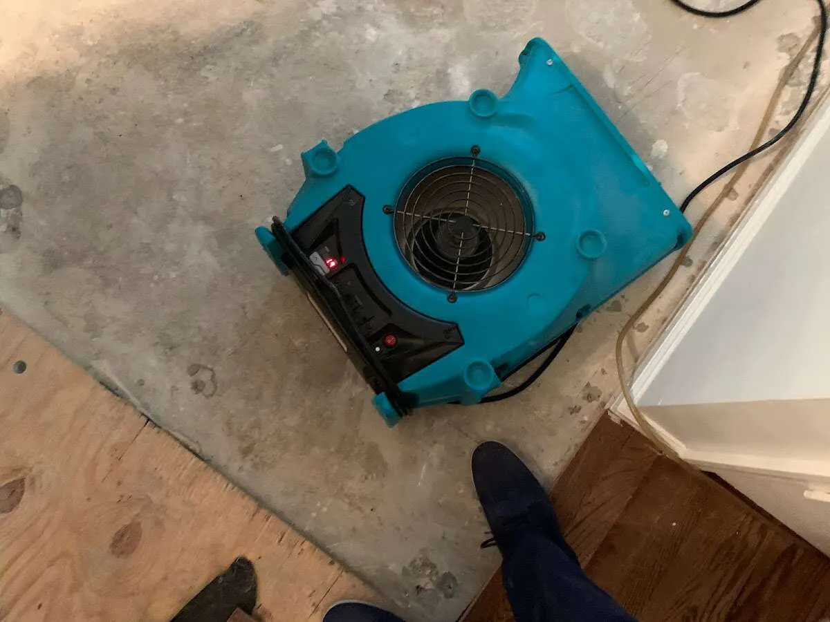 Air mover drying subfloor during Leak Detection & Repair in West Park